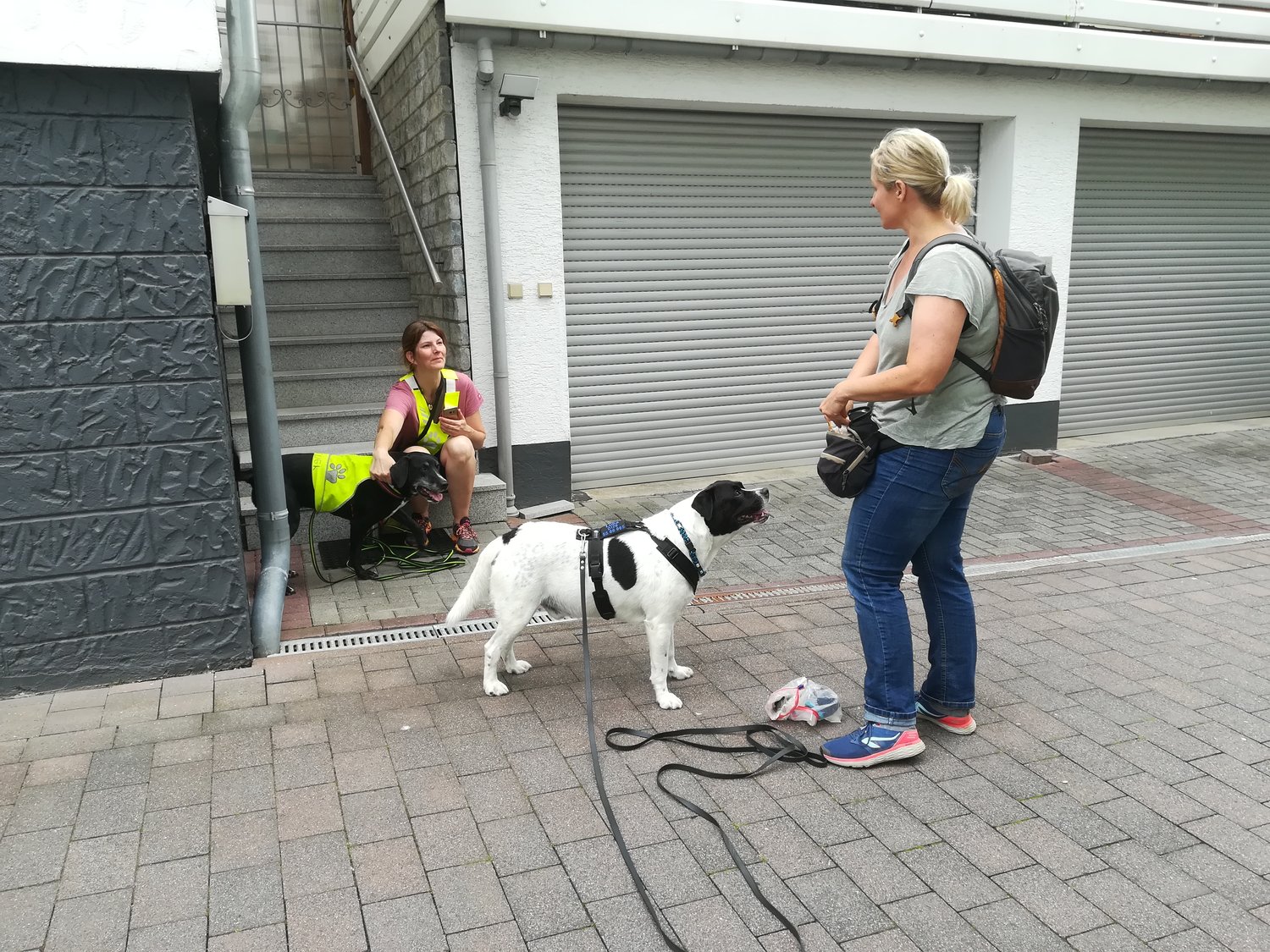 Mantrailing in der Stadt