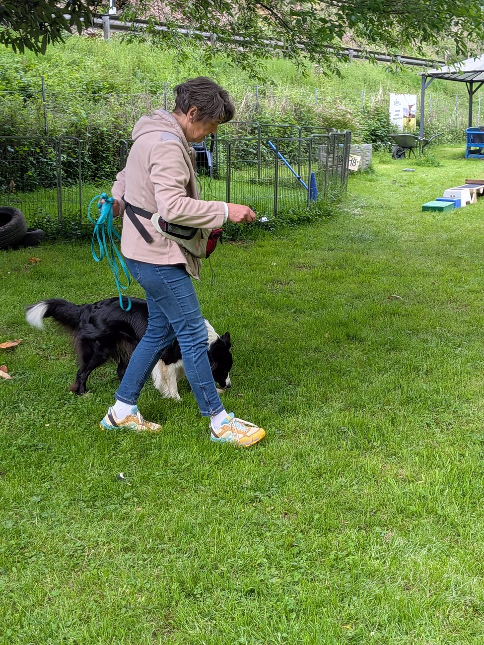 Bewegungstraining auf dem Platz