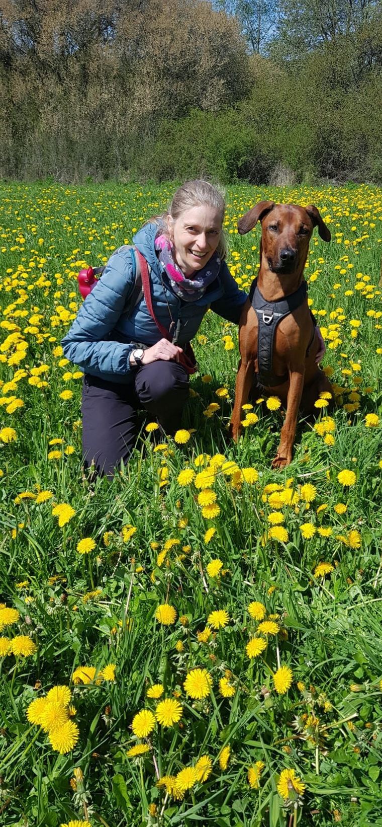 Peggy mit ihrem Rhodesian Ridgeback Akila in einer Blumenwiese