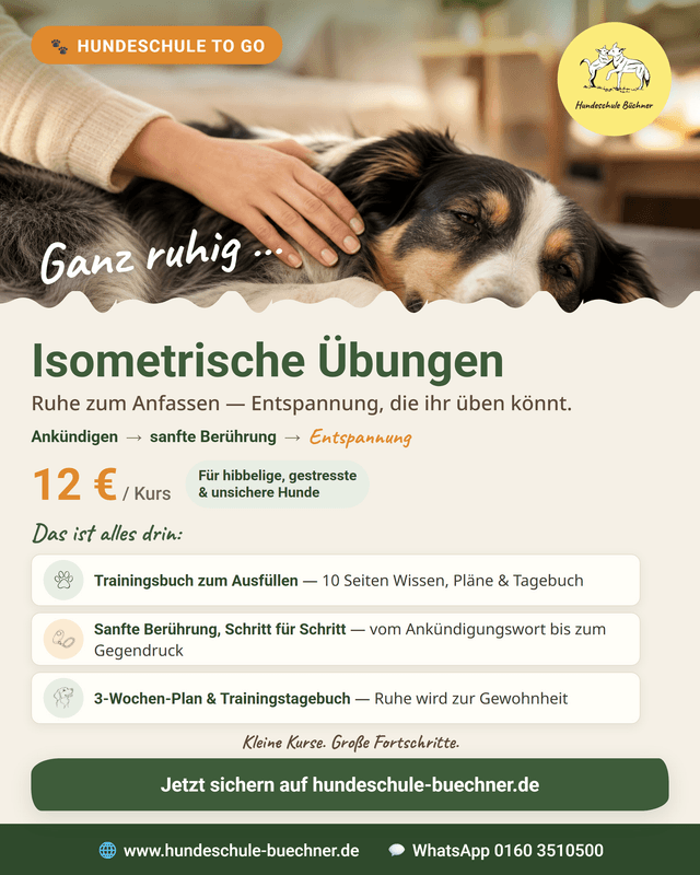 Isometrische Übungen
