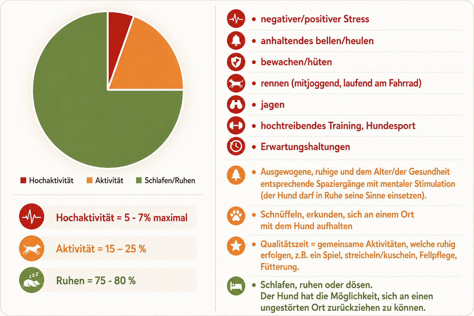 Ratgeber Ruhebedarf: Wie viel Ruhe braucht ein Hund