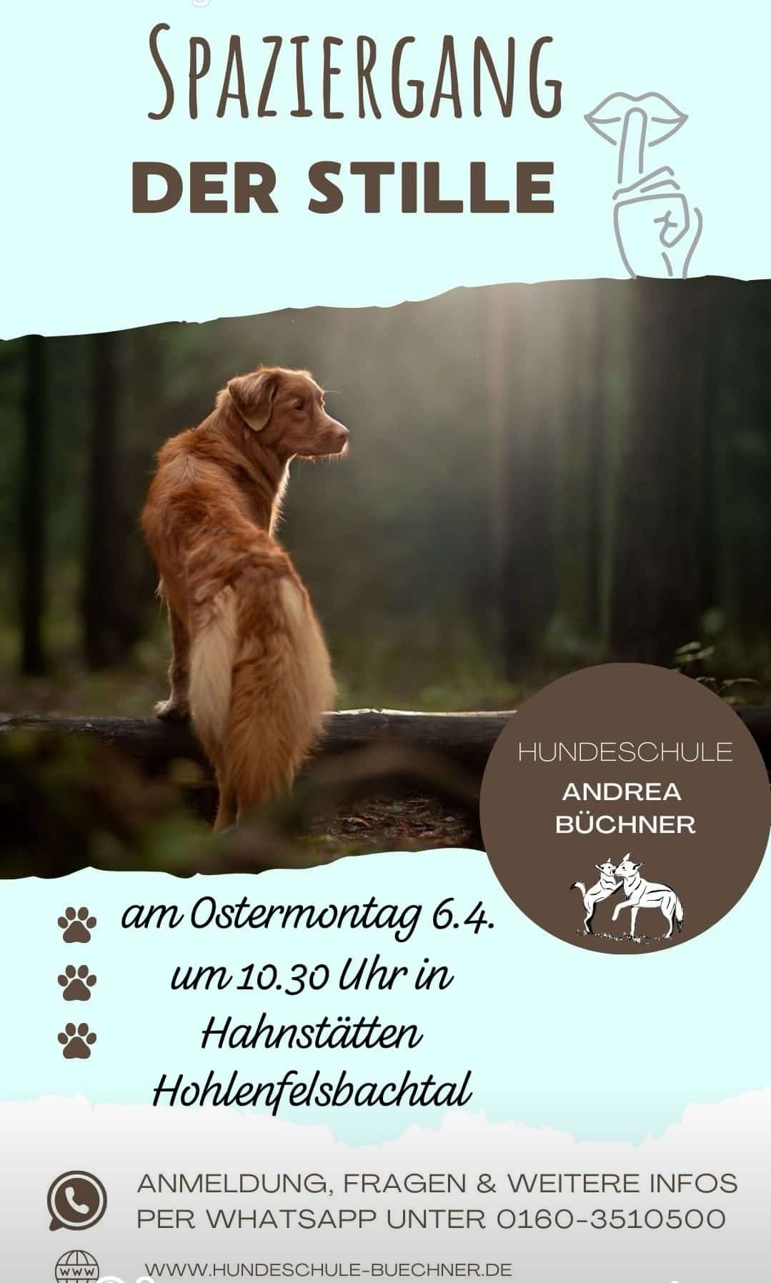 Spaziergang der Stille1